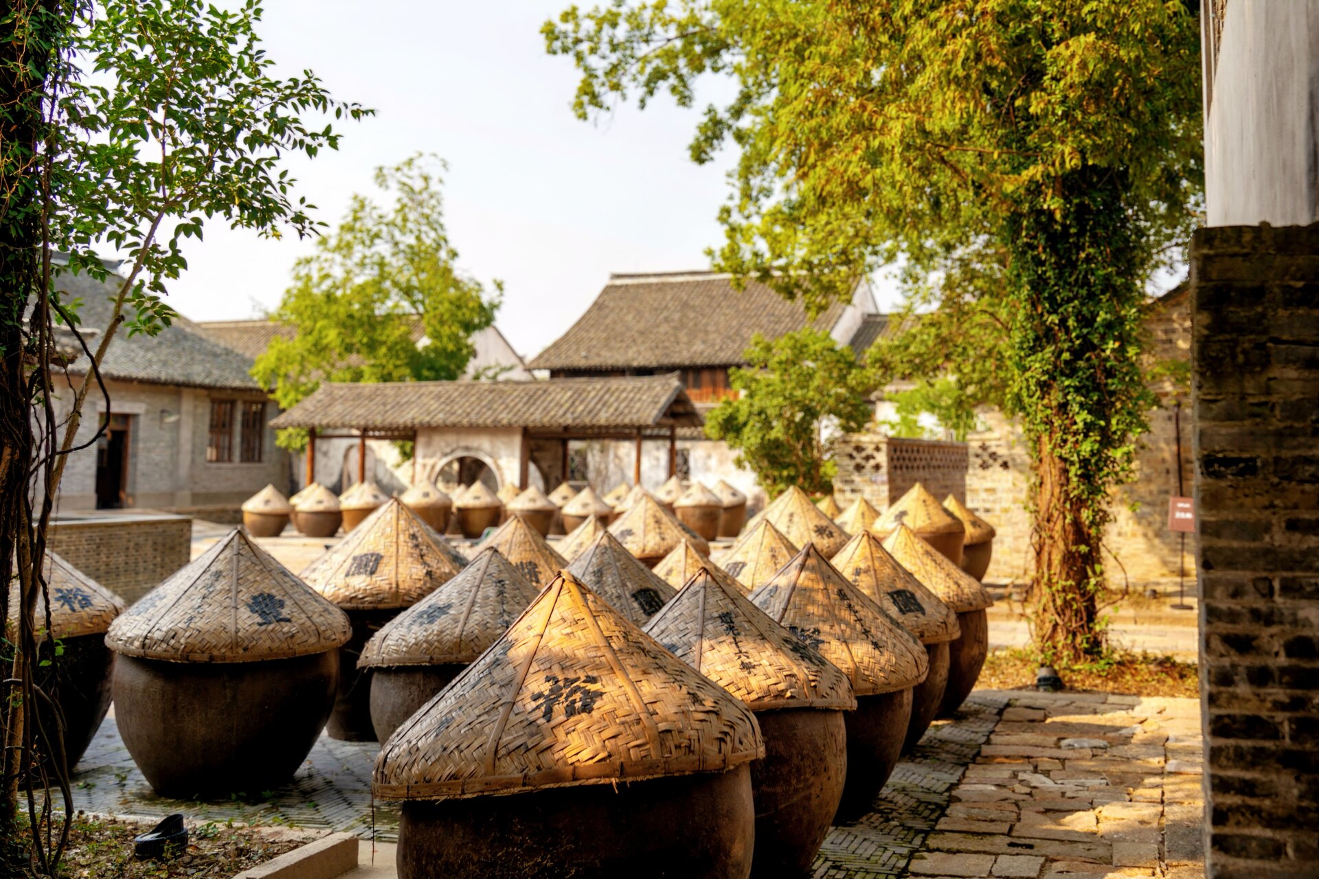 The Yufeng Soy Sauce Garden, a traditional soy sauce brewery with earthen jars and wooden racks.