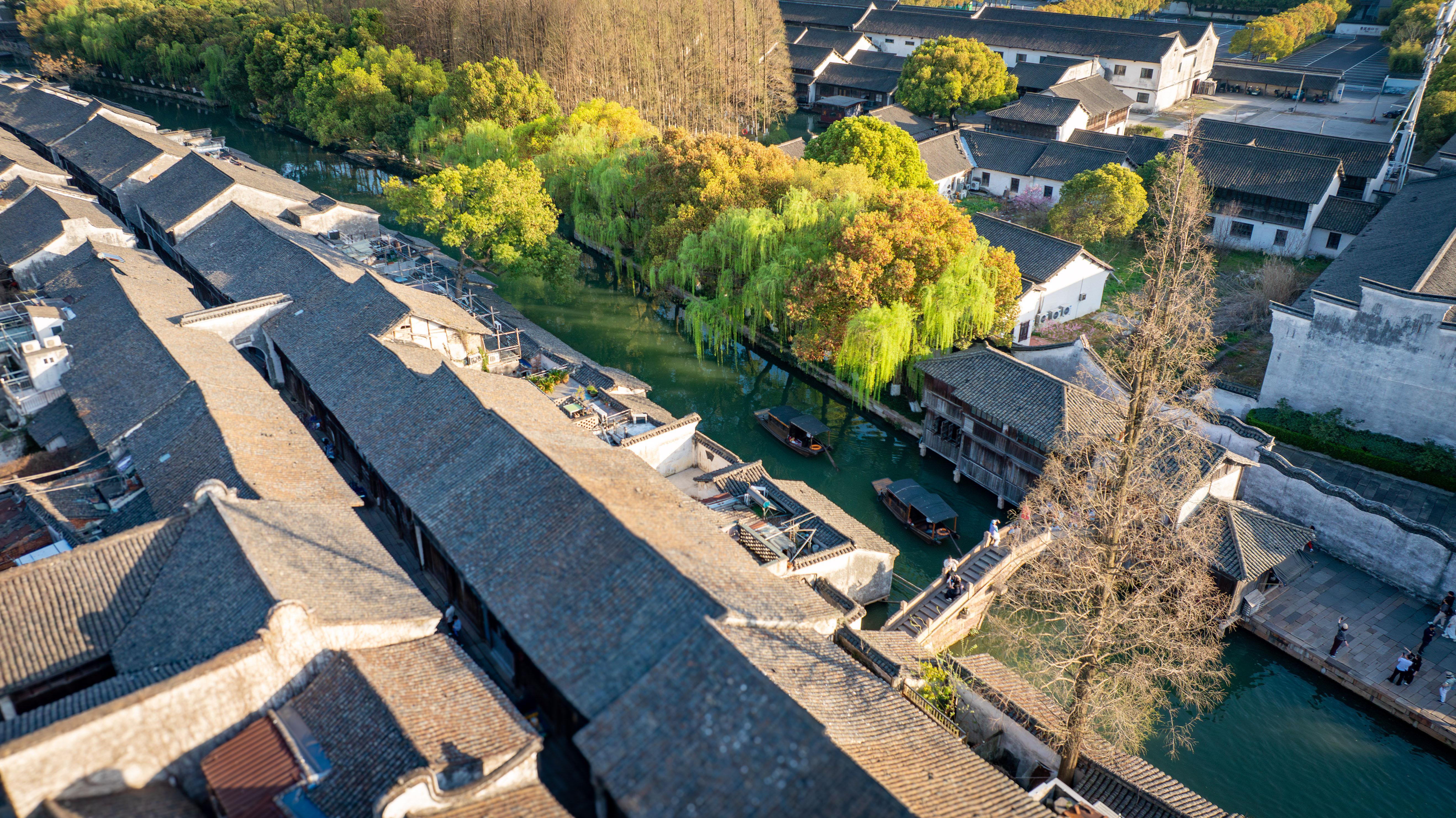DJI_20250325165637_0296_D-已增强-降噪