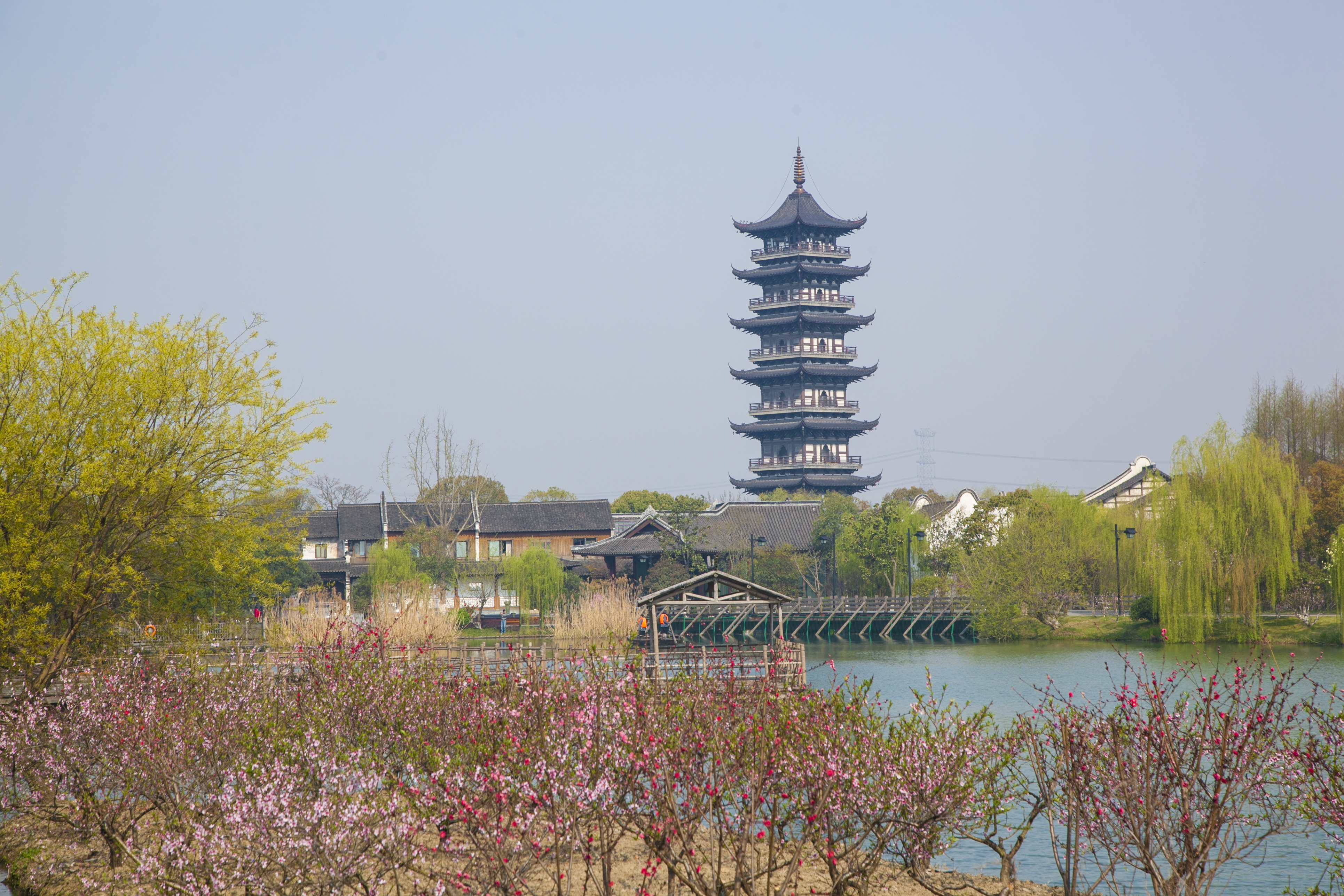 翡翠漾 (3)