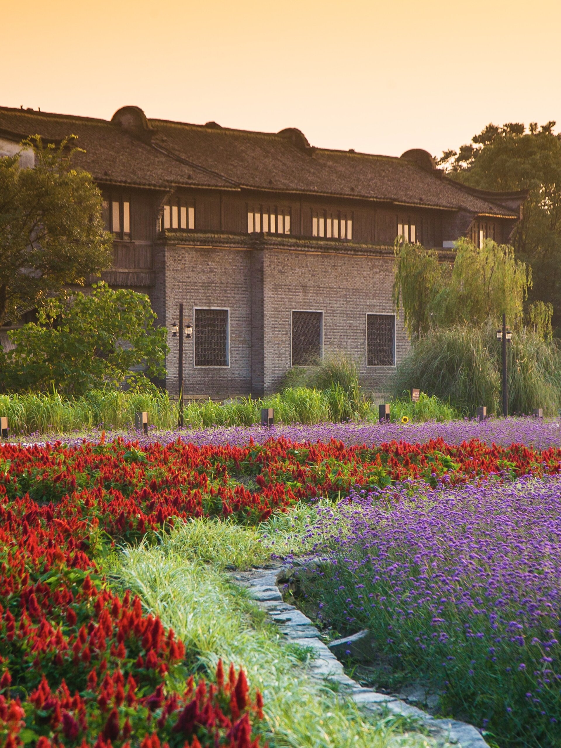 Red celosia and purple verbena foreground historic gray brick mansion at golden hour.