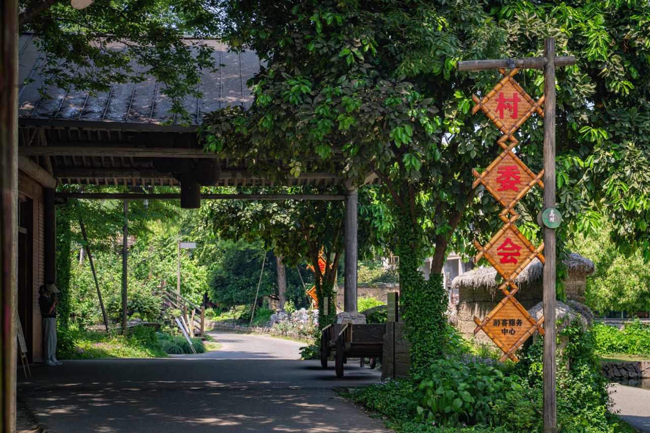 Shaded village lane with bamboo sign hanging "Village Committee", lush green vines and ancient wooden gateway.